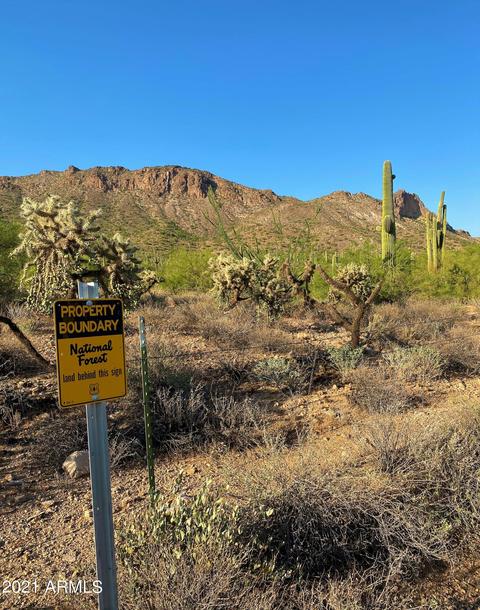 2475 W Mcdowell Blvd, Apache Junction, AZ 85120 photo 31