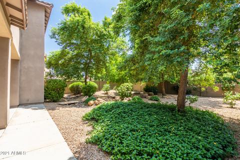 3907 E Rockingham Rd, Phoenix, AZ 85050 photo 44