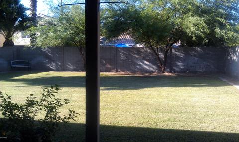 910 W Leah Ln, Gilbert, AZ 85233 photo 13