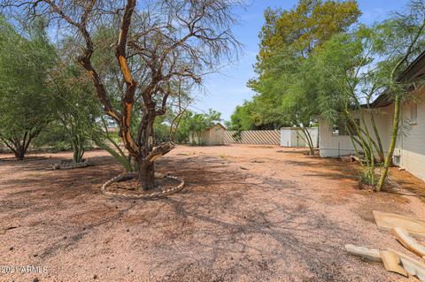 6125 E Decatur St, Mesa, AZ 85205 photo 26