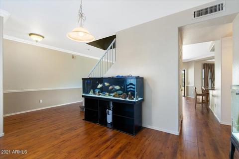 10711 E Bramble Ave, Mesa, AZ 85208 photo 5