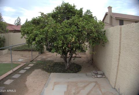 2316 E Laurel St, Mesa, AZ 85213 photo 14