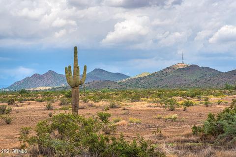 110 E Creosote Dr, Phoenix, AZ 85085 photo 42