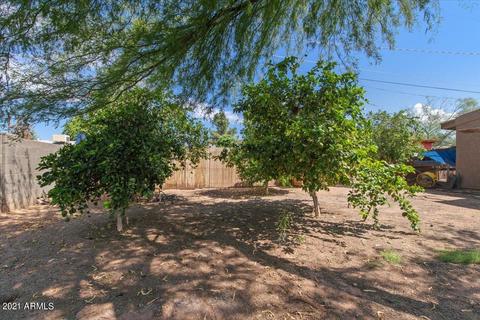 11436 E 5th Ave, Apache Junction, AZ 85120 photo 23
