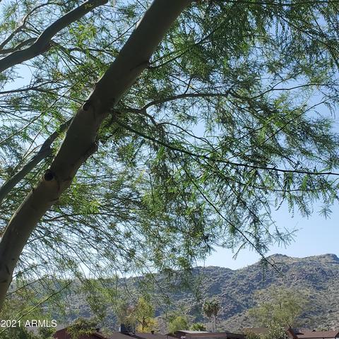 2432 E Francisco Dr, Phoenix, AZ 85042 photo 4