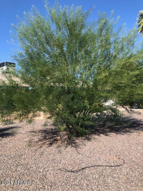 1948 E Pebble Beach Dr, Tempe, AZ 85282 photo 22