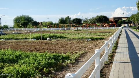9819 E Suburban Dr, Mesa, AZ 85212 photo 30