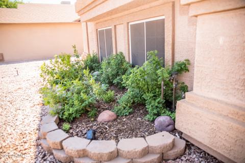714 S Riata St, Gilbert, AZ 85296 photo 3