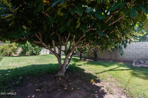 911 W State Ave, Phoenix, AZ 85021 photo 33
