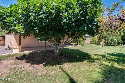 911 W State Ave, Phoenix, AZ 85021 photo 34