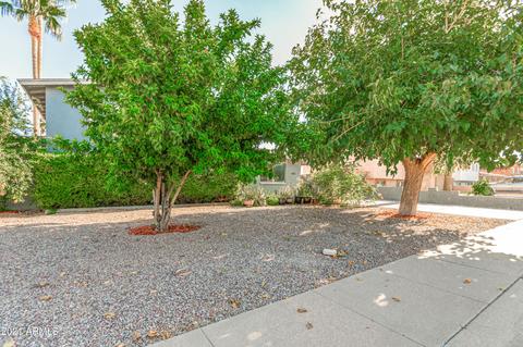 603 E Taylor St, Tempe, AZ 85288 photo 4