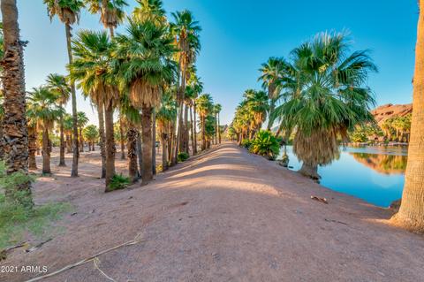 603 E Taylor St, Tempe, AZ 85288 photo 44
