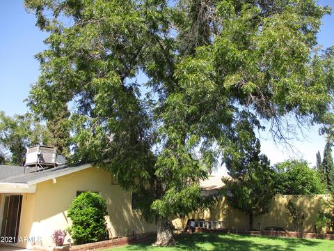 347 W Echo Dr, Phoenix, AZ 85021 photo 42