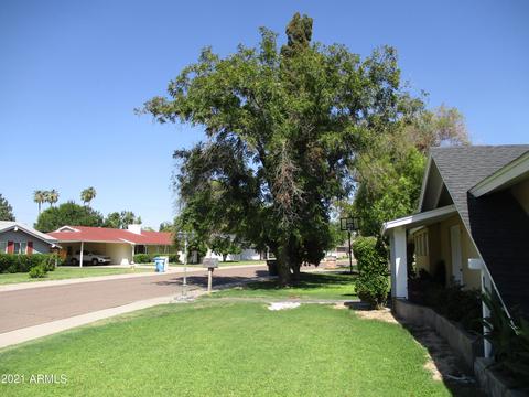 347 W Echo Dr, Phoenix, AZ 85021 photo 21