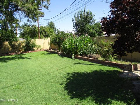 347 W Echo Dr, Phoenix, AZ 85021 photo 11