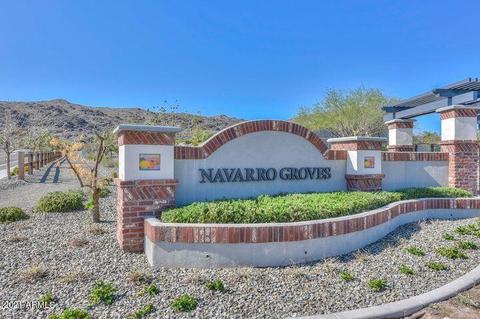 3113 E Desert Ln, Phoenix, AZ 85042 photo 43