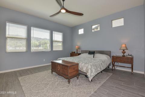3113 E Desert Ln, Phoenix, AZ 85042 photo 26
