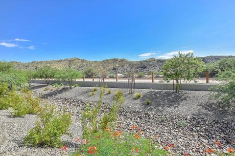 3113 E Desert Ln, Phoenix, AZ 85042 photo 36