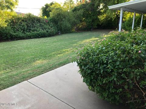 1343 E 2nd Pl, Mesa, AZ 85203 photo 7