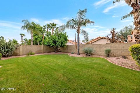 4625 E Desert Cactus St, Phoenix, AZ 85032 photo 23