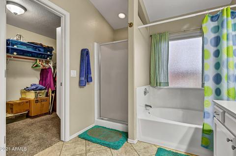 11330 E Camino St, Mesa, AZ 85207 photo 18