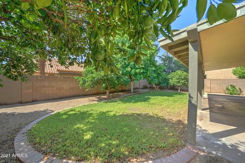 1141 E San Angelo Ave, Gilbert, AZ 85234 photo 27