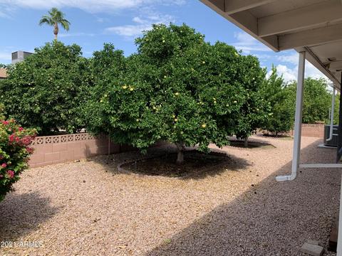 4142 E Crescent Ave, Mesa, AZ 85206 photo 31