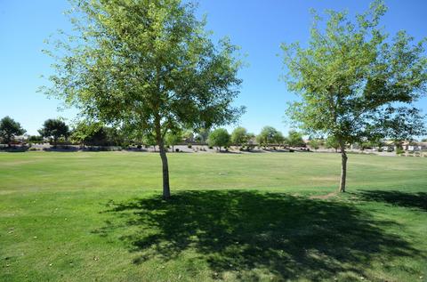3894 E Wyatt Way, Gilbert, AZ 85297 photo 29