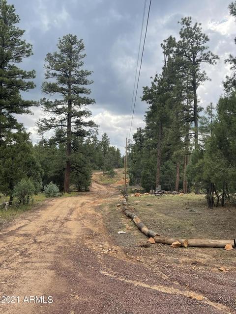 2724 Black Bear Trl, Overgaard, AZ 85933 photo 10