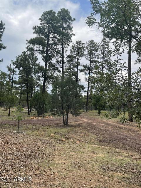 2724 Black Bear Trl, Overgaard, AZ 85933 photo 12