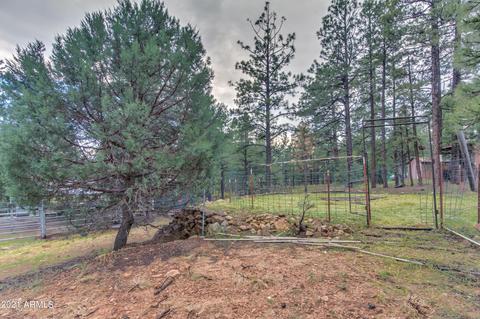 2724 Black Bear Trl, Overgaard, AZ 85933 photo 37