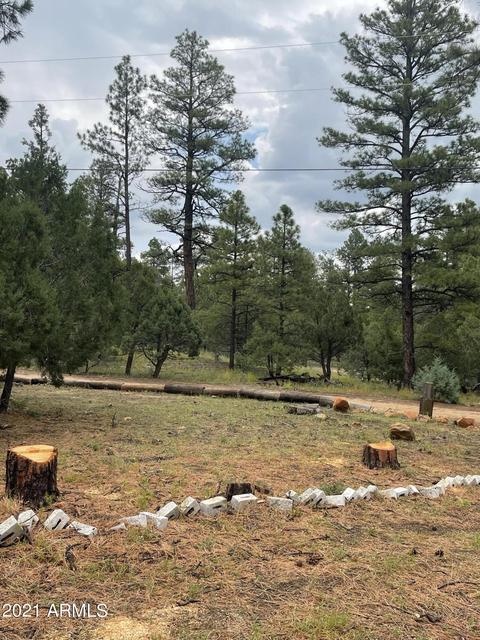 2724 Black Bear Trl, Overgaard, AZ 85933 photo 15