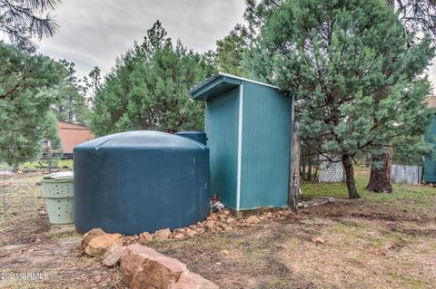 2724 Black Bear Trl, Overgaard, AZ 85933 photo 5