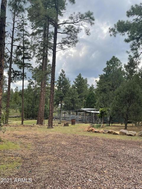 2724 Black Bear Trl, Overgaard, AZ 85933 photo 9