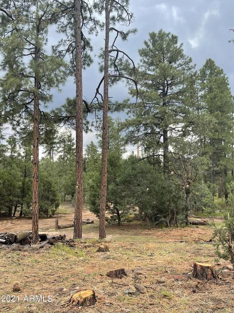 2724 Black Bear Trl, Overgaard, AZ 85933 photo 14