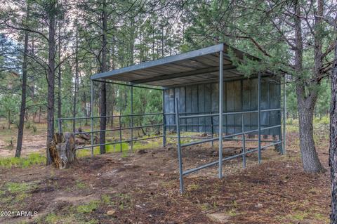 2724 Black Bear Trl, Overgaard, AZ 85933 photo 40
