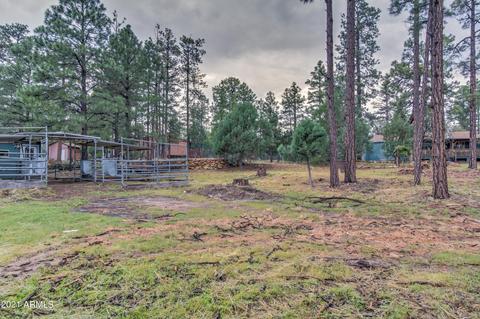 2724 Black Bear Trl, Overgaard, AZ 85933 photo 41
