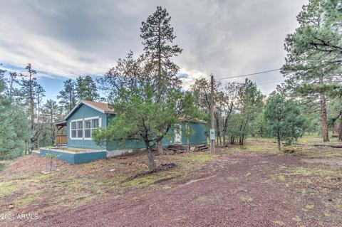 2724 Black Bear Trl, Overgaard, AZ 85933 photo 35