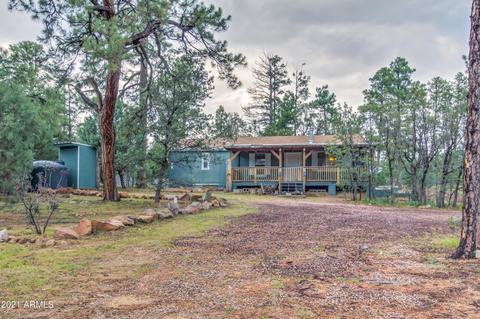 2724 Black Bear Trl, Overgaard, AZ 85933 photo 43