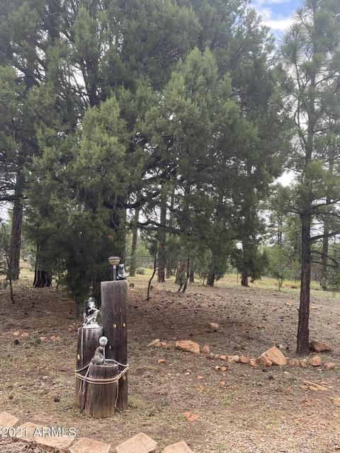 2724 Black Bear Trl, Overgaard, AZ 85933 photo 11