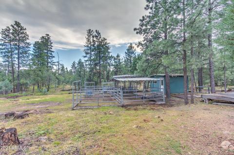 2724 Black Bear Trl, Overgaard, AZ 85933 photo 6
