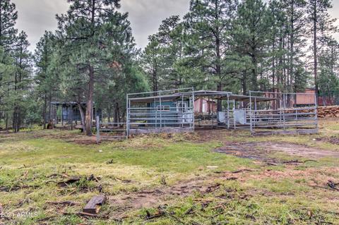 2724 Black Bear Trl, Overgaard, AZ 85933 photo 42