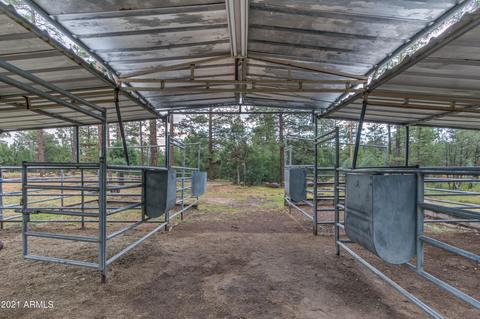 2724 Black Bear Trl, Overgaard, AZ 85933 photo 39