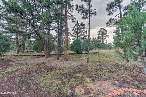 2724 Black Bear Trl, Overgaard, AZ 85933 photo 36