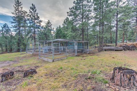 2724 Black Bear Trl, Overgaard, AZ 85933 photo 38