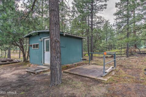 2724 Black Bear Trl, Overgaard, AZ 85933 photo 7
