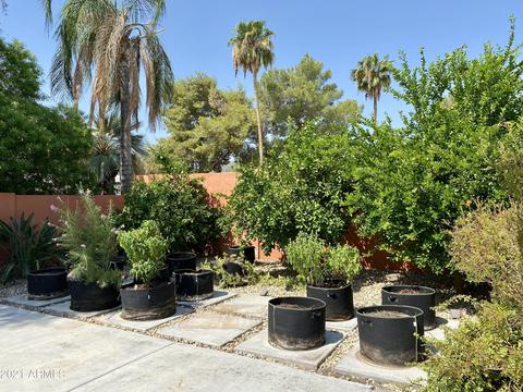 4533 E Sunrise Dr, Phoenix, AZ 85044 photo 25