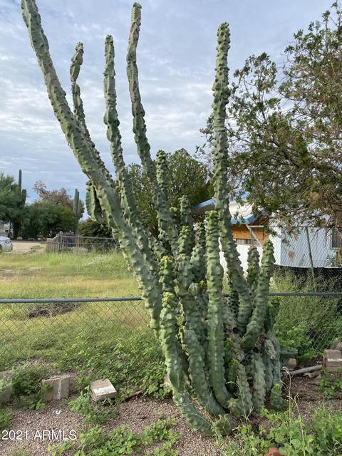 932 S Desert View Dr, Apache Junction, AZ 85120 photo 3