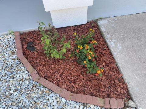 14007 N 37th Pl, Phoenix, AZ 85032 photo 8