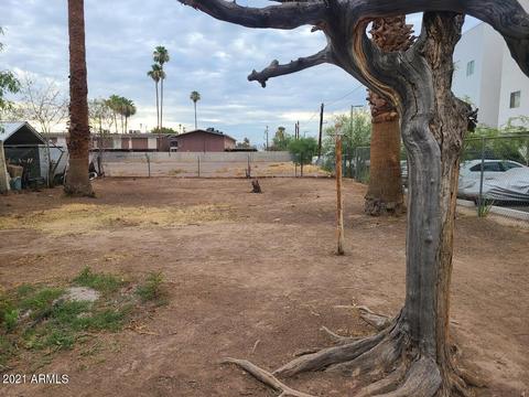 129 S Hibbert --, Mesa, AZ 85210 photo 11